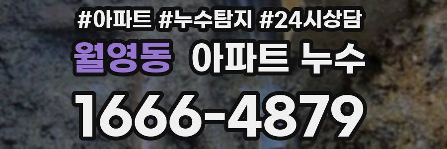 월영동 누수탐지