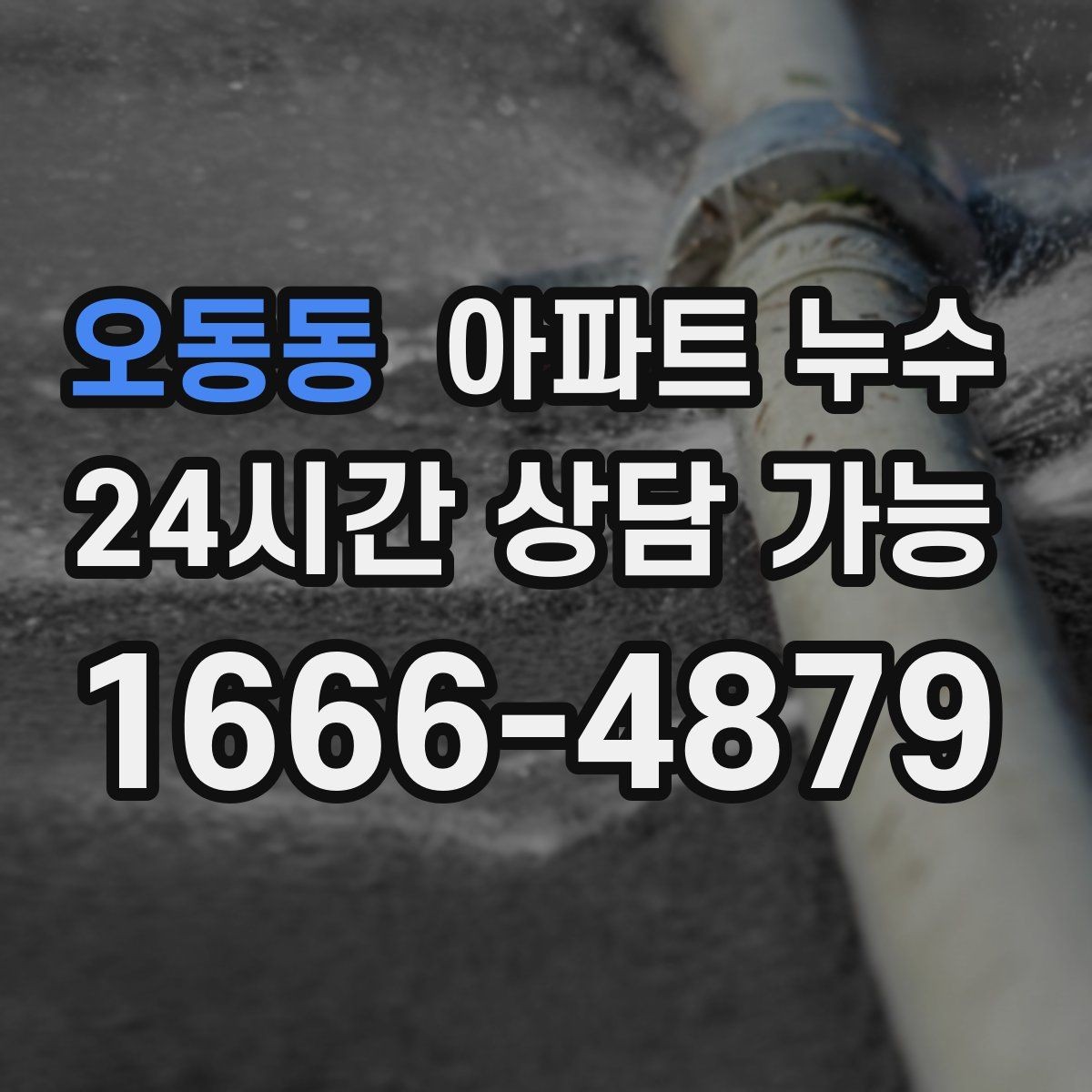 오동동 아파트 누수 간헐적으로 젖었다 마를 때 재발 방지 한눈에