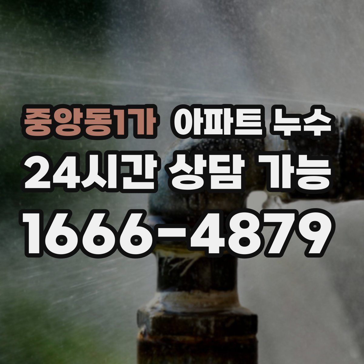 중앙동1가 아파트 누수탐지