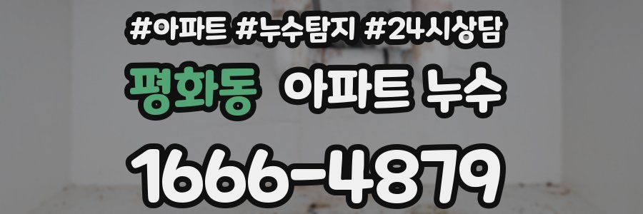 평화동 누수탐지