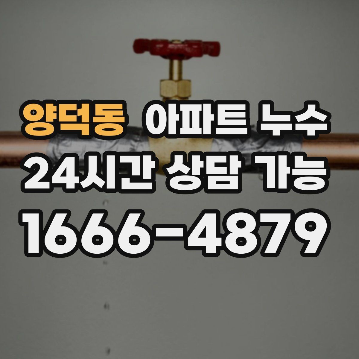 양덕동 아파트 누수 벽지가 찢어질 만큼 들뜰 때 빠른 대응