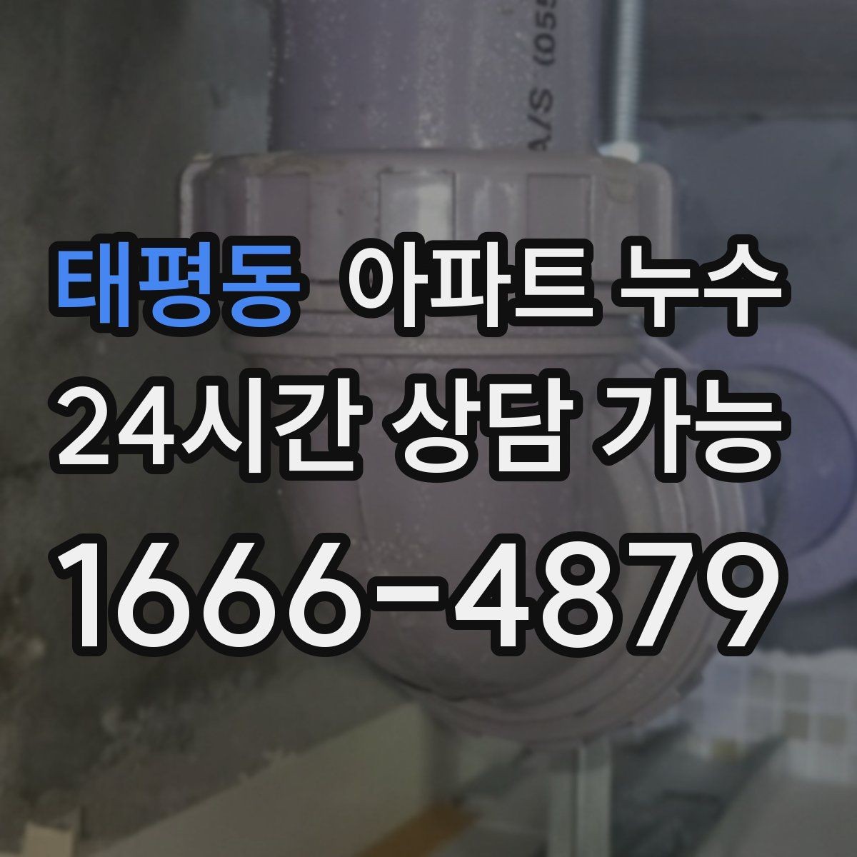 태평동 아파트 누수 악취와 곰팡이 커지기 전 확인 포인트 체크