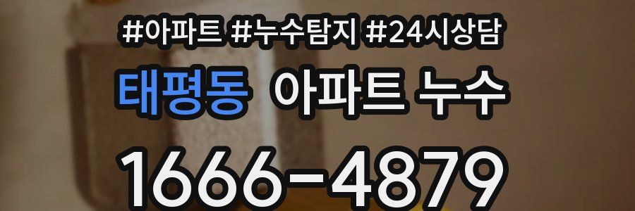 태평동 누수탐지