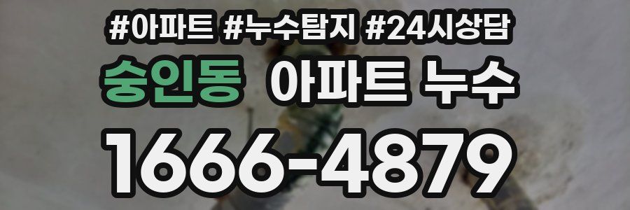 숭인동 누수탐지