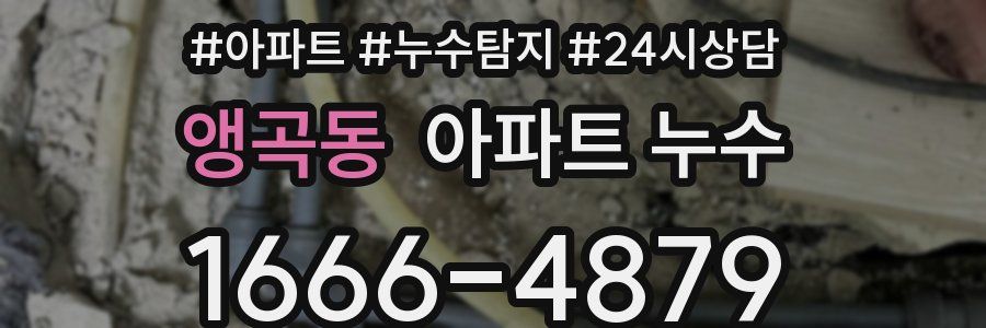 앵곡동 누수탐지