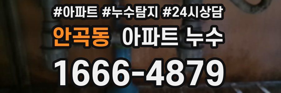 안곡동 누수탐지