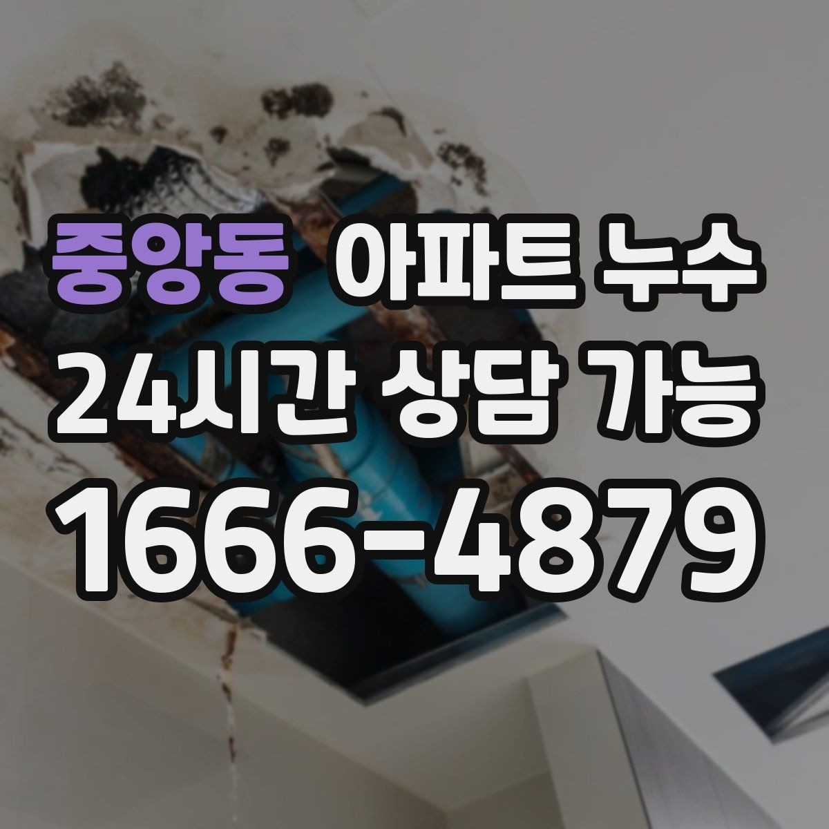 중앙동 아파트 누수 물자국이 사라져도 안심하면 안 되는 이유