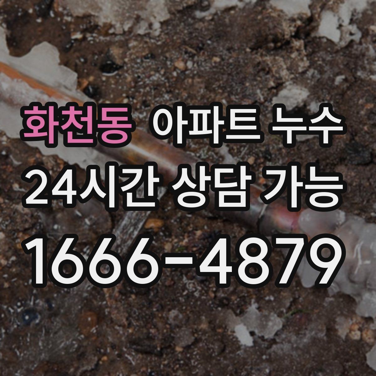 화천동 아파트 누수 곰팡이가 늘어날 때 당황하지 않는 사진 기록 정리