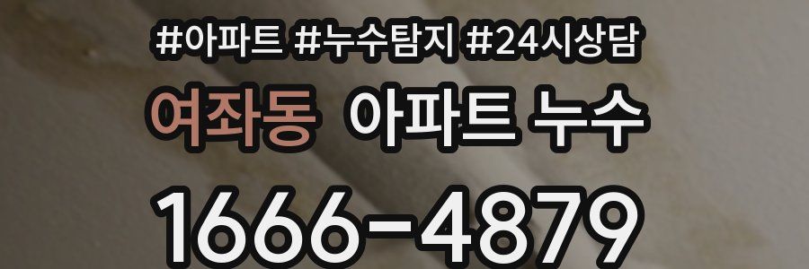 여좌동 누수탐지