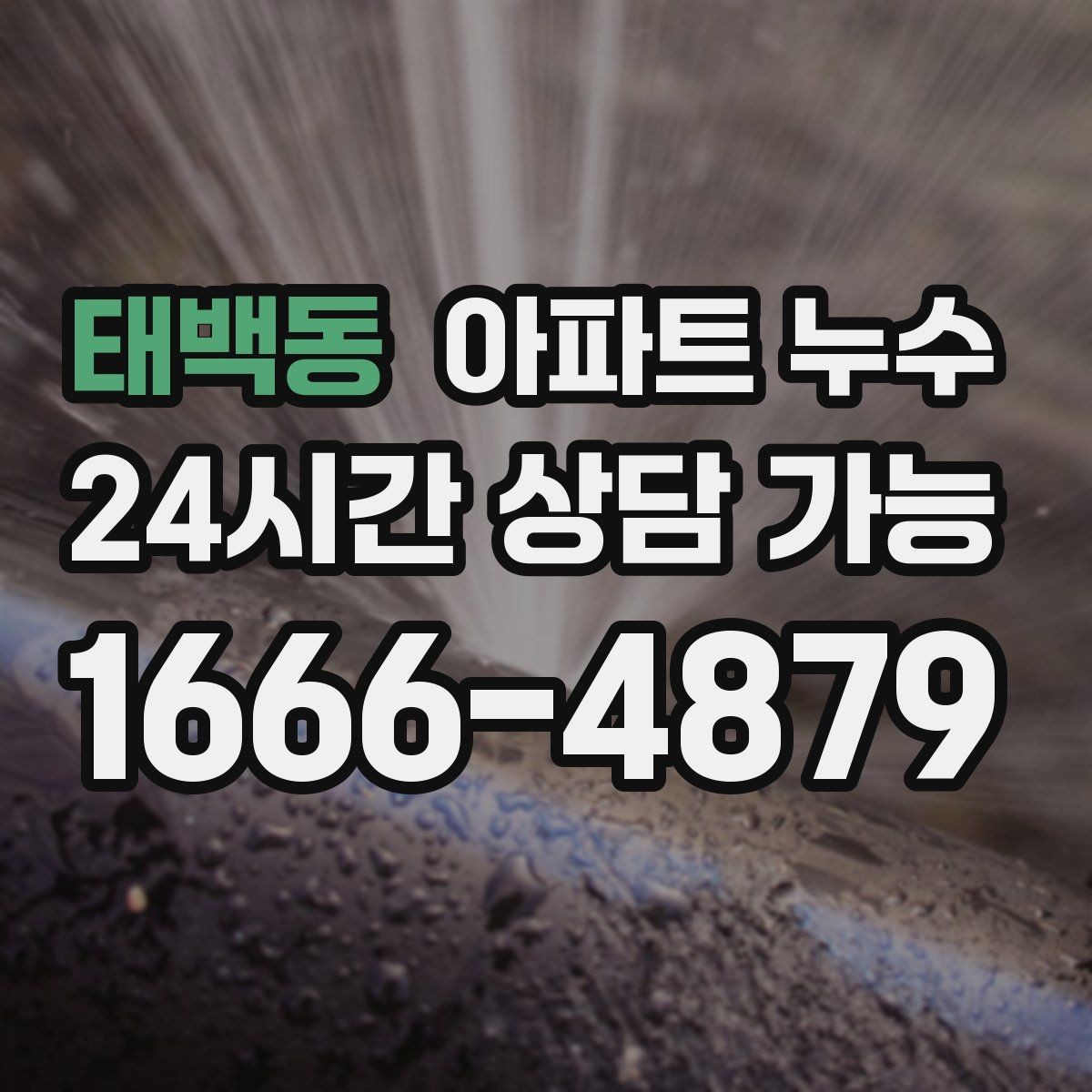 태백동 아파트 누수 물자국은 큰데 냄새가 약할 때