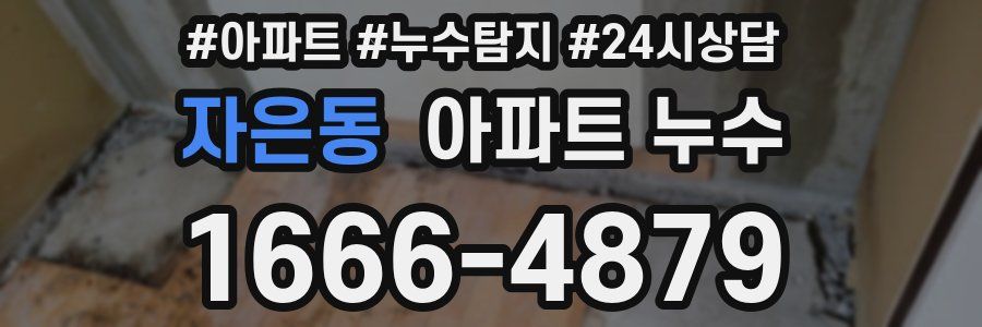 자은동 누수탐지