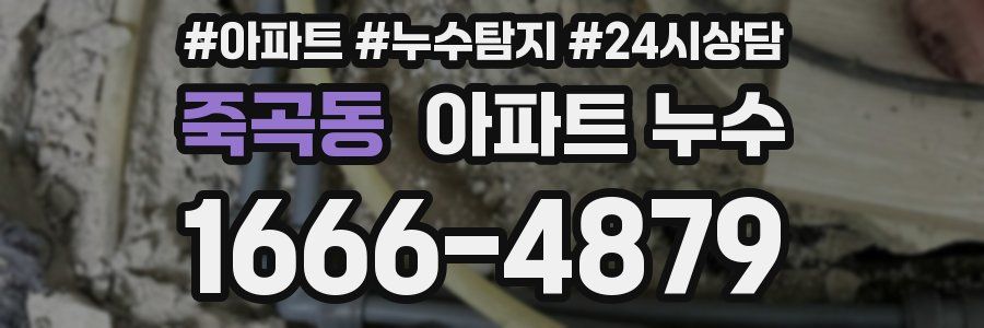 죽곡동 누수탐지