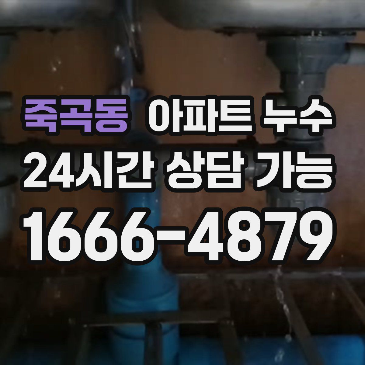 죽곡동 아파트 누수탐지