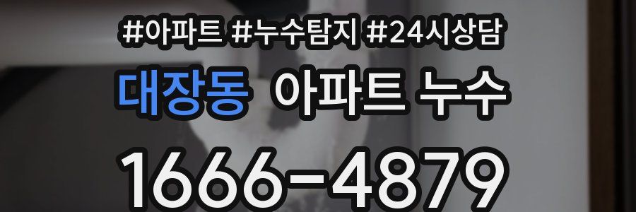 대장동 누수탐지