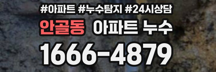 안골동 누수탐지