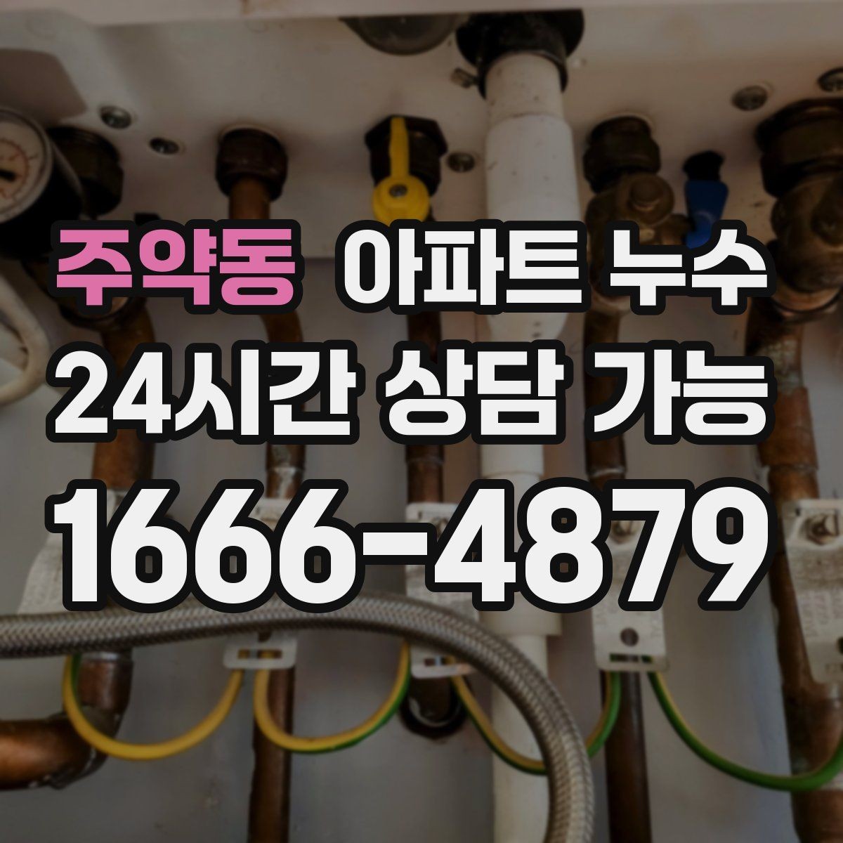 주약동 아파트 누수 방 천장 점 번짐 방치하면 커지는 이유와 점검 순서