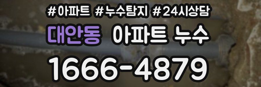 대안동 누수탐지