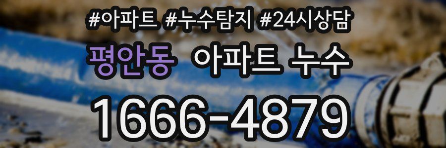 평안동 누수탐지