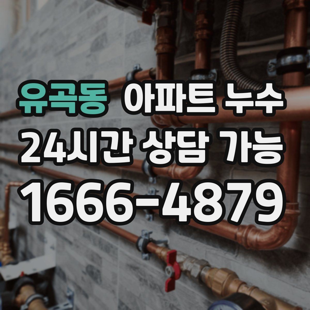 유곡동 아파트 누수 임시로 가릴 때 더 악화되는 경우