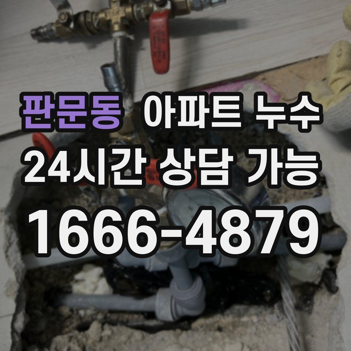 판문동 아파트 누수 악취와 곰팡이 보이면 초기 대응부터 정리