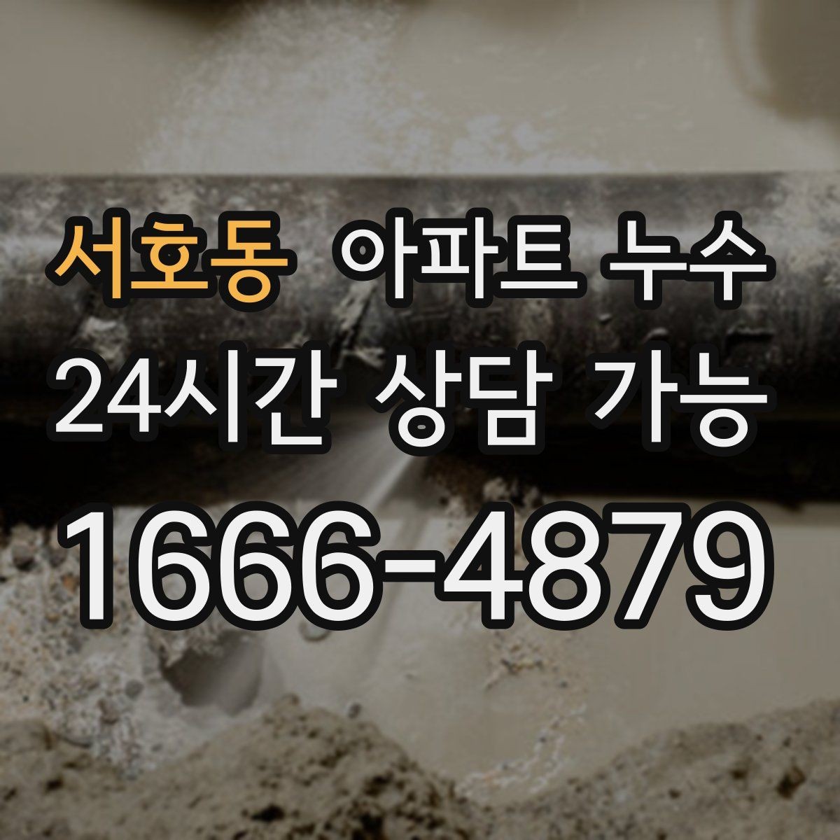서호동 아파트 누수 세탁실 바닥 물기 방치하면 커지는 이유와 사진 기록
