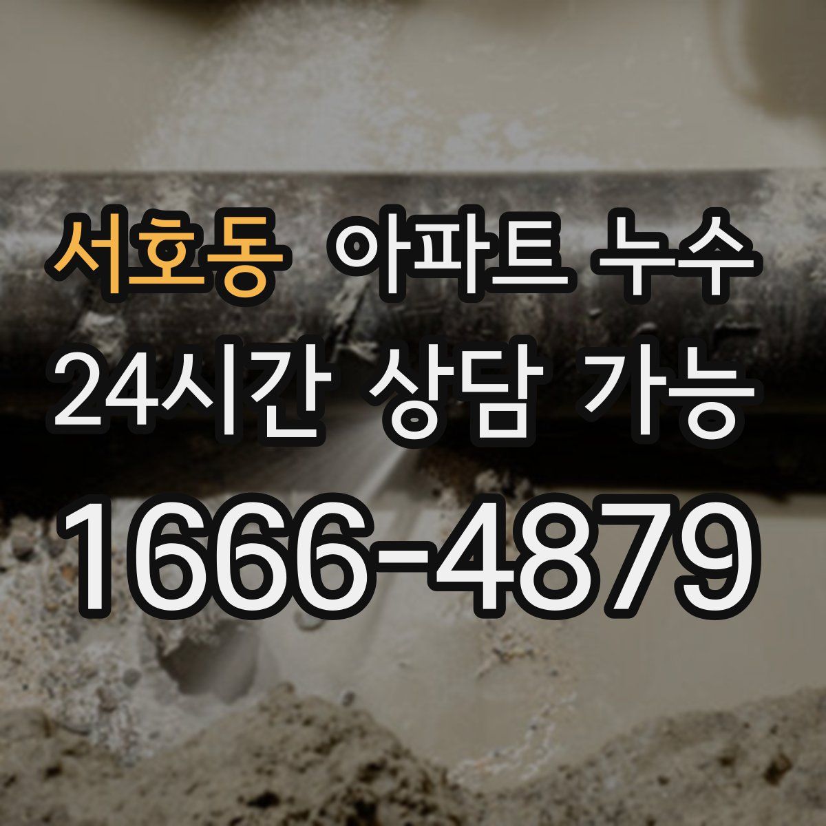 서호동 아파트 누수탐지