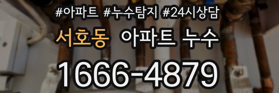 서호동 누수탐지