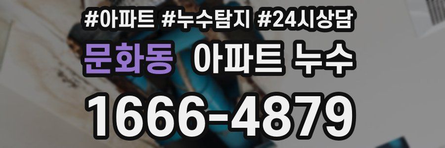 문화동 누수탐지