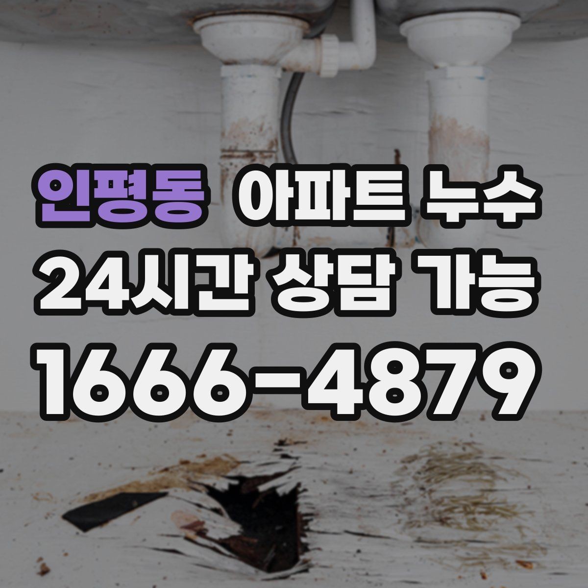 인평동 아파트 누수 세탁실 바닥 물기 방치하면 커지는 이유와 사진 기록