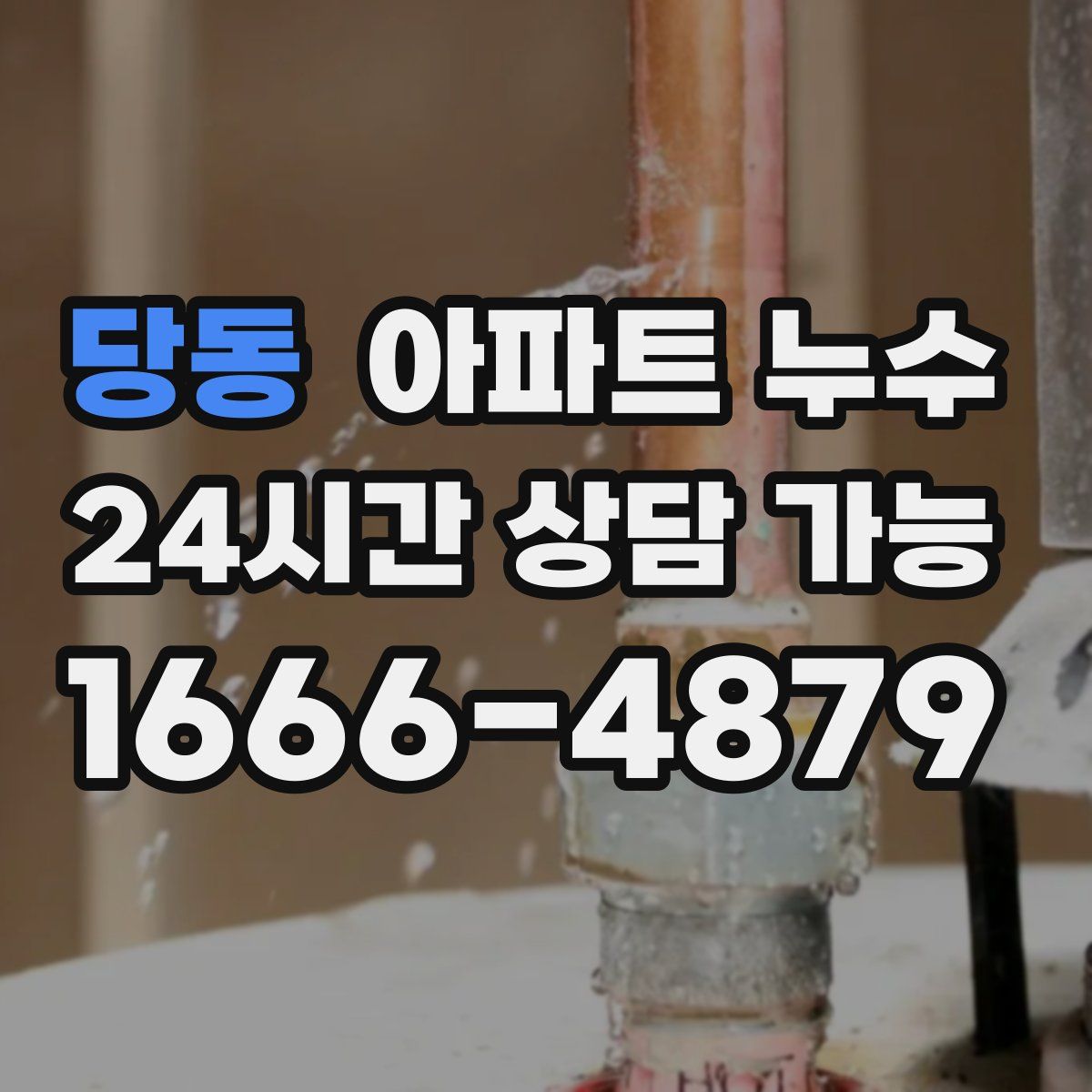 당동 아파트 누수탐지