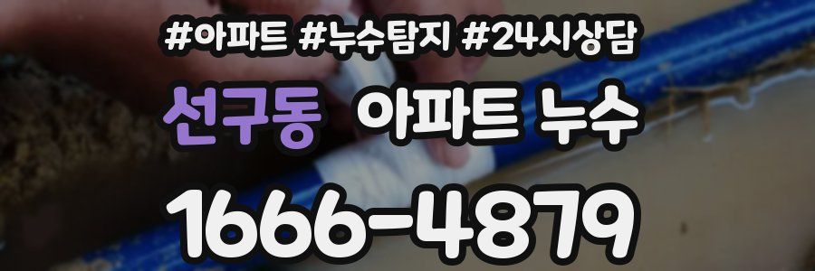 선구동 누수탐지