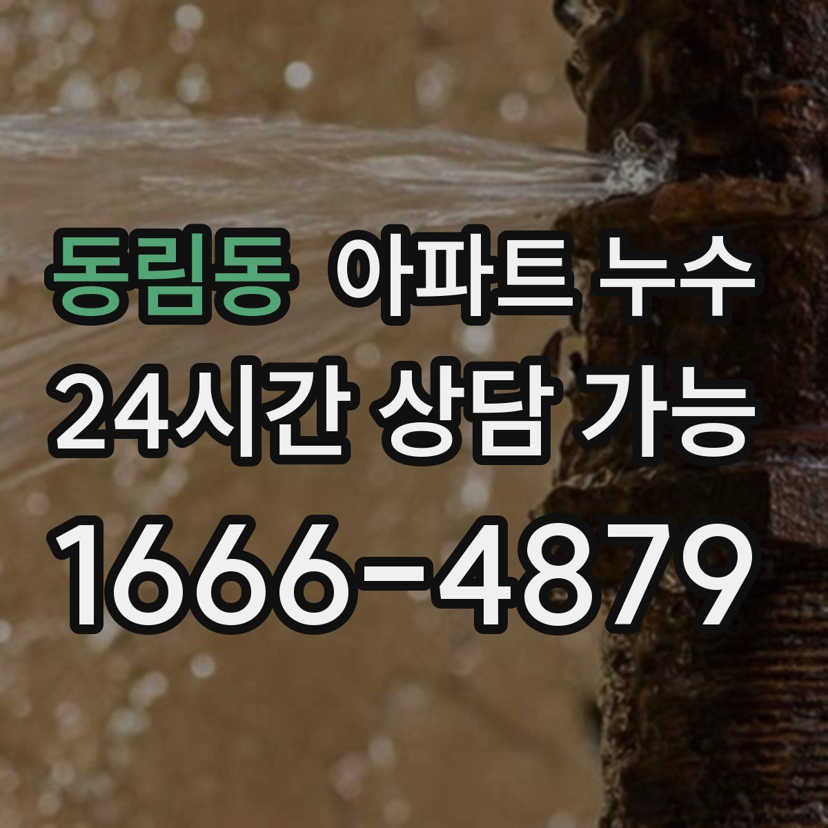 동림동 아파트 누수탐지