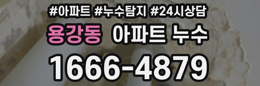 용강동 누수탐지