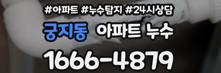 궁지동 누수탐지