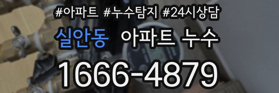 실안동 누수탐지