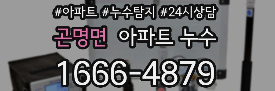 곤명면 누수탐지