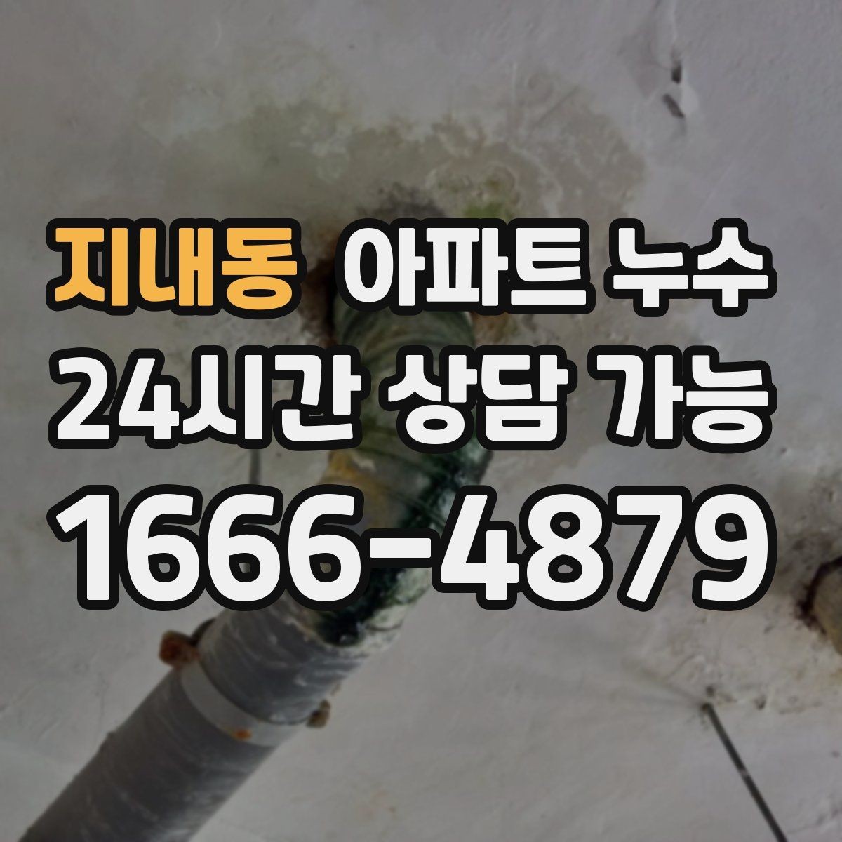 지내동 아파트 누수 의심될 때 사진 촬영 포인트 정리