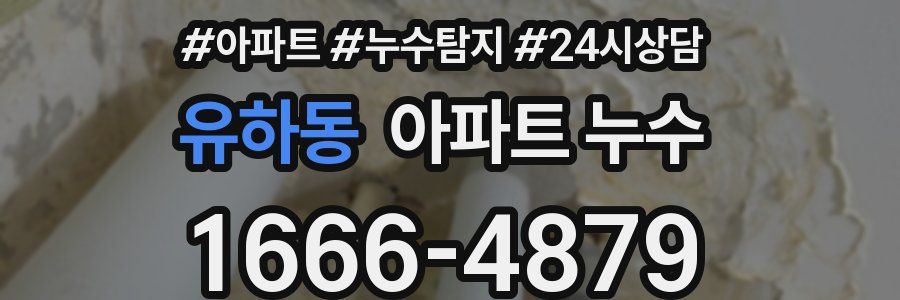 유하동 누수탐지