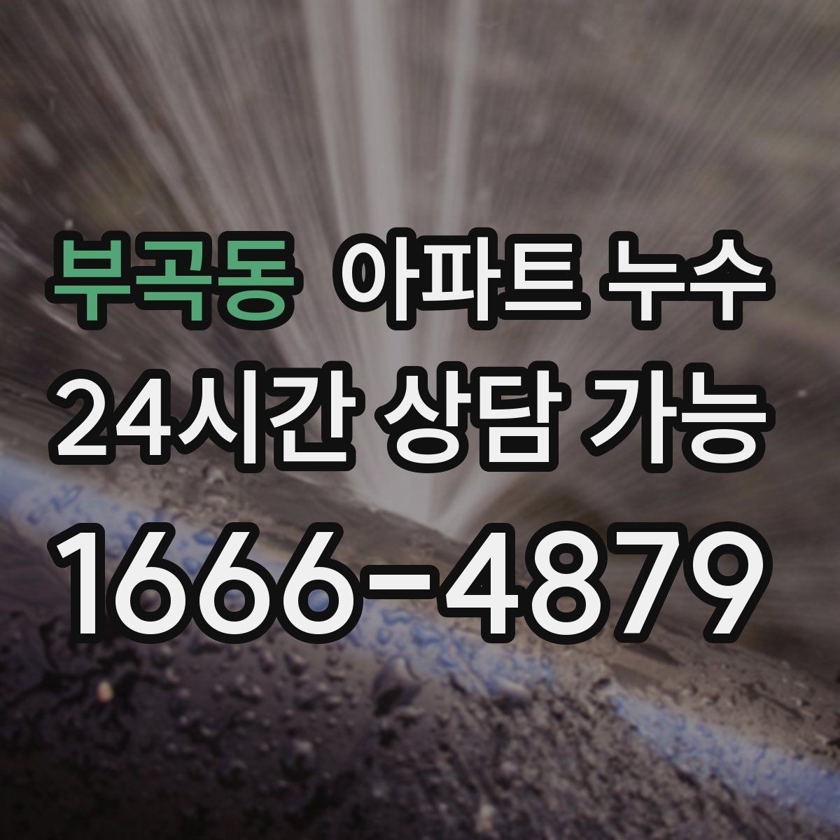 부곡동 아파트 누수 가구 밑 바닥이 계속 축축할 때