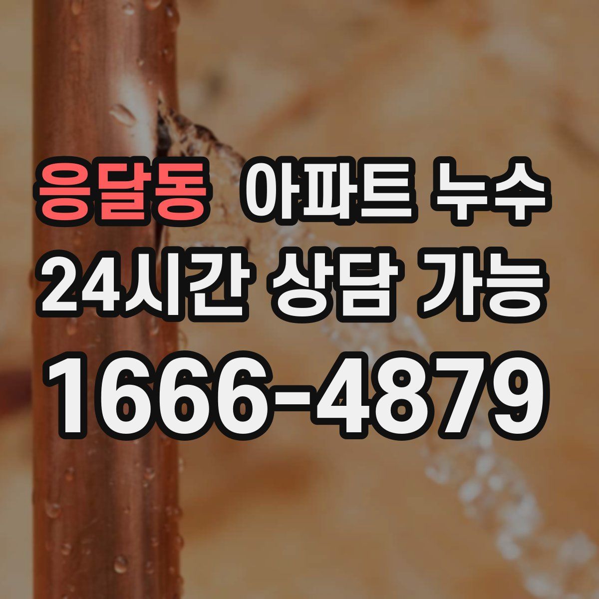 응달동 아파트 누수탐지