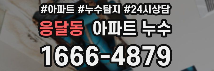 응달동 누수탐지