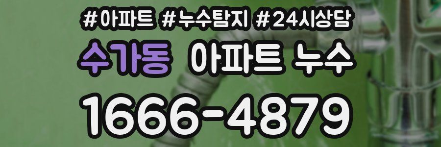 수가동 누수탐지