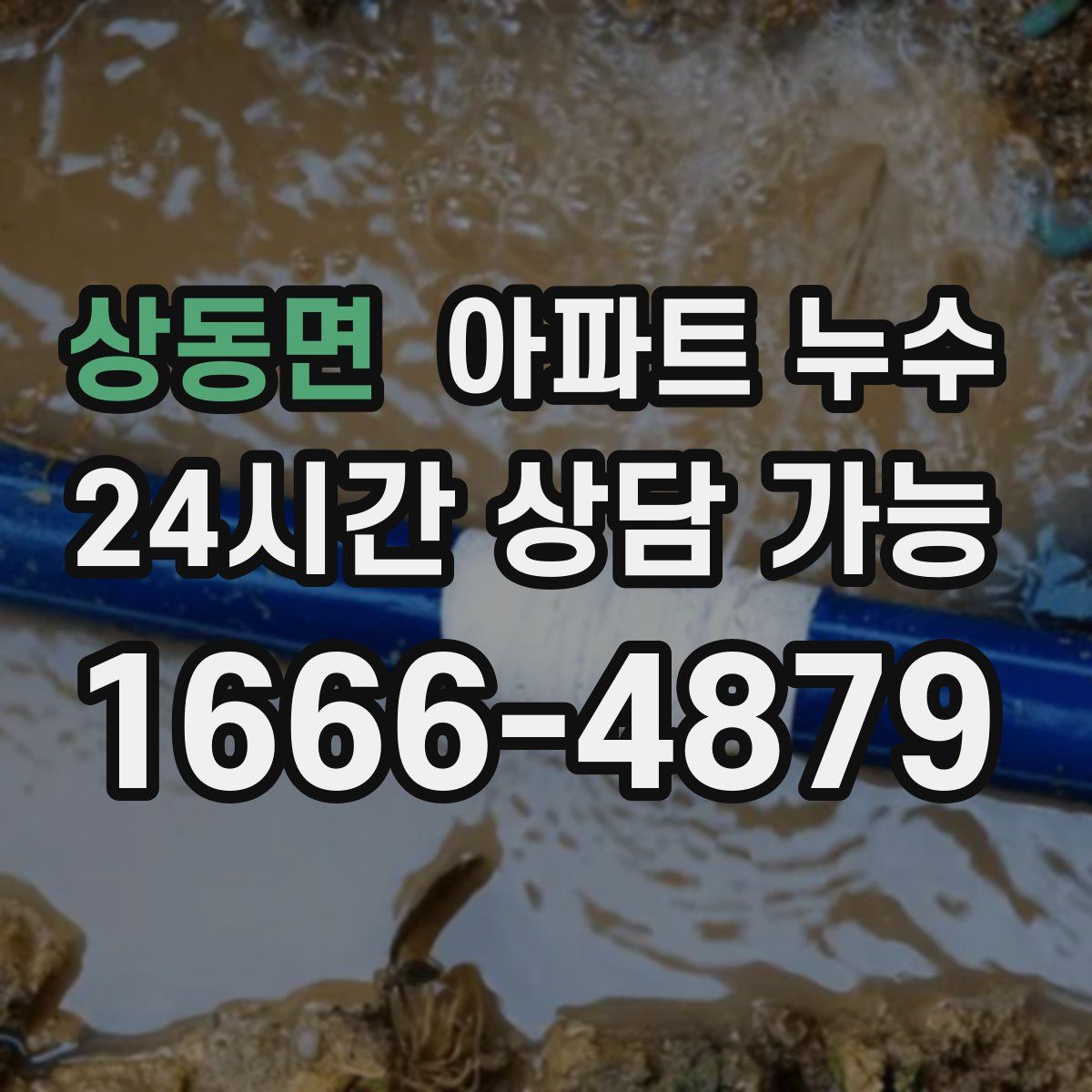 상동면 아파트 누수탐지