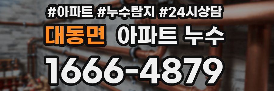 대동면 누수탐지