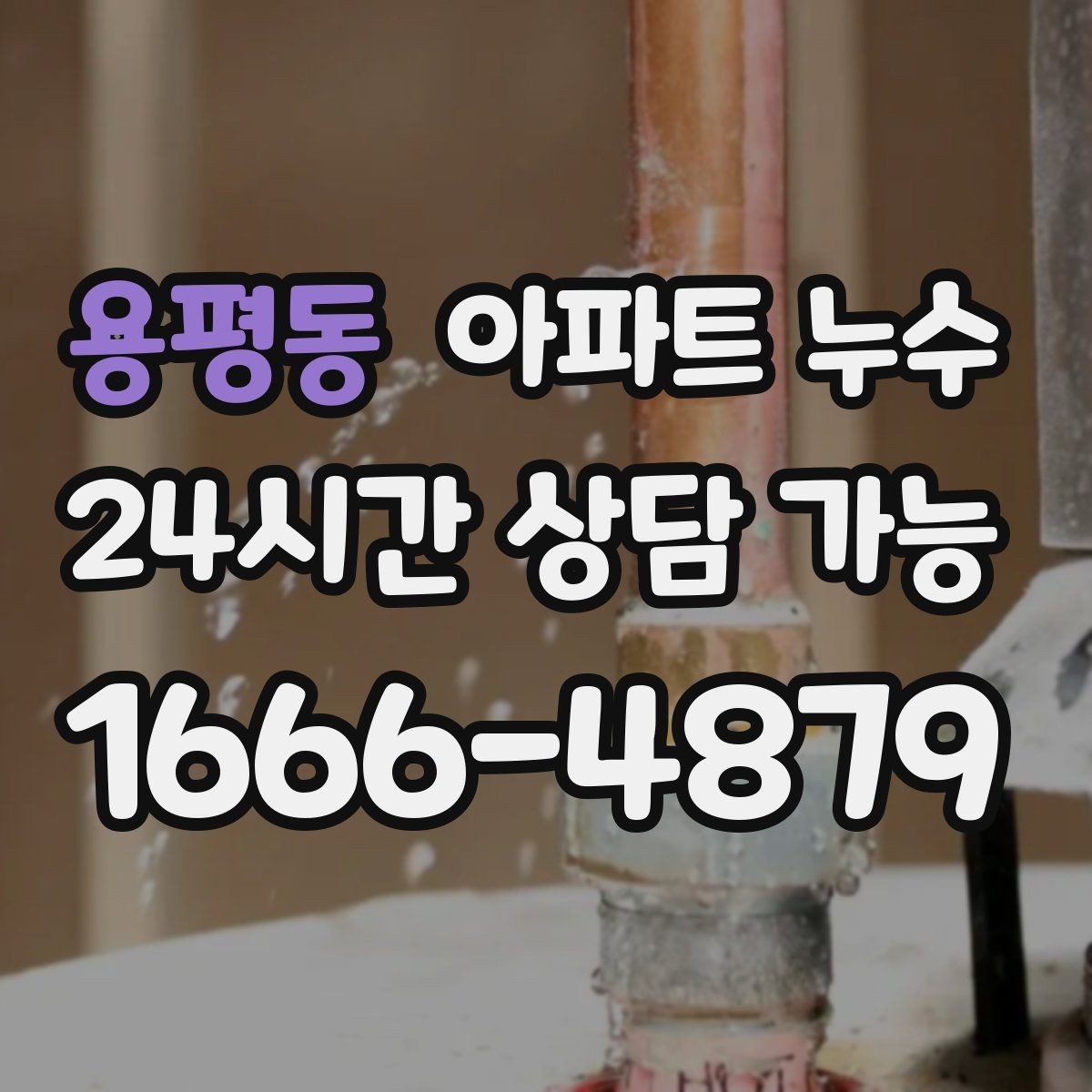 용평동 아파트 누수 욕실 바닥 물기와 다른 젖음이 느껴질 때