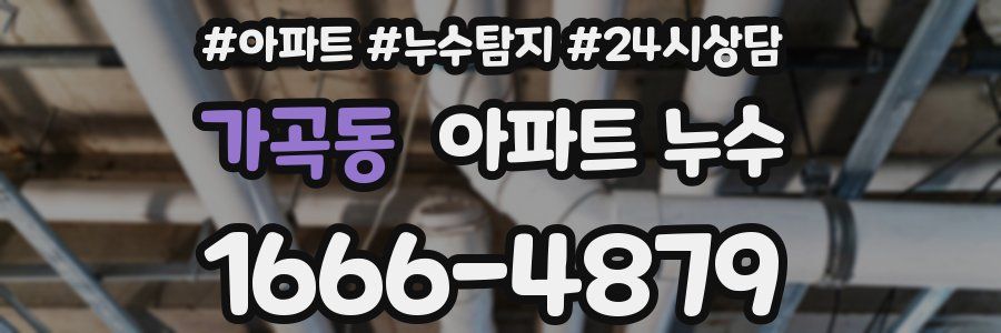 가곡동 누수탐지