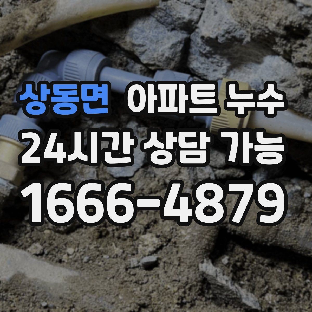 상동면 아파트 누수 악취와 곰팡이 보이면 초기 대응부터 정리