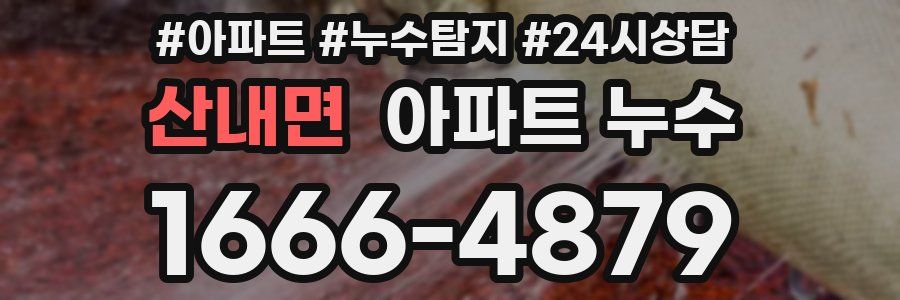 산내면 누수탐지