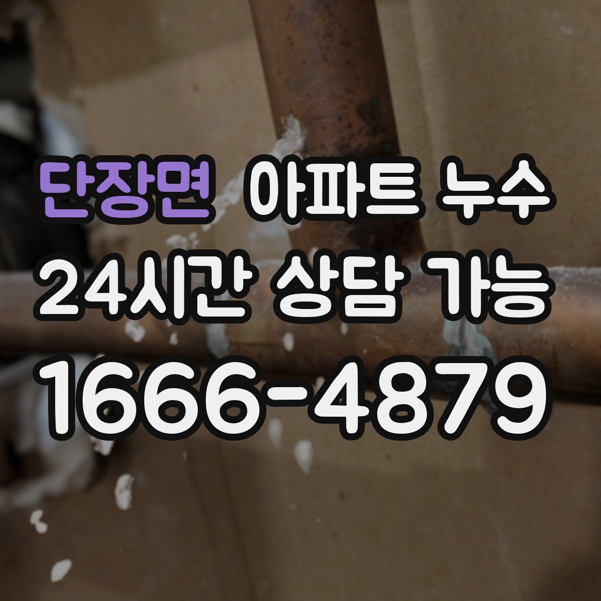 단장면 아파트 누수탐지