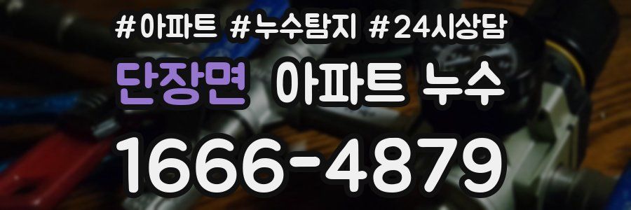 단장면 누수탐지